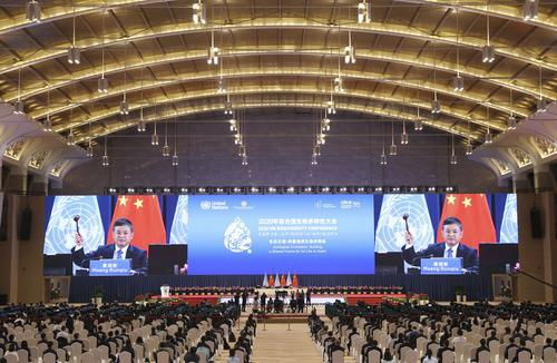 国际环保组织积极评价cop15首批成果