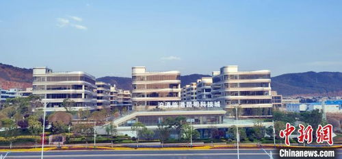 沪滇携手打造承接产业转移 优选地 助企业开拓东南亚市场